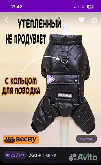 Одежда для собак новый комбенизон
