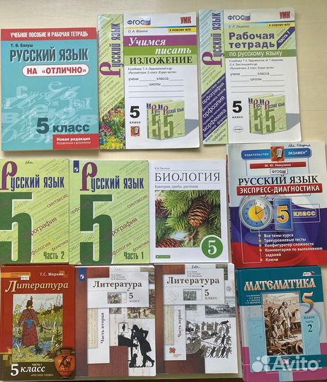 Учебники много 5 и 6 класс математика русский