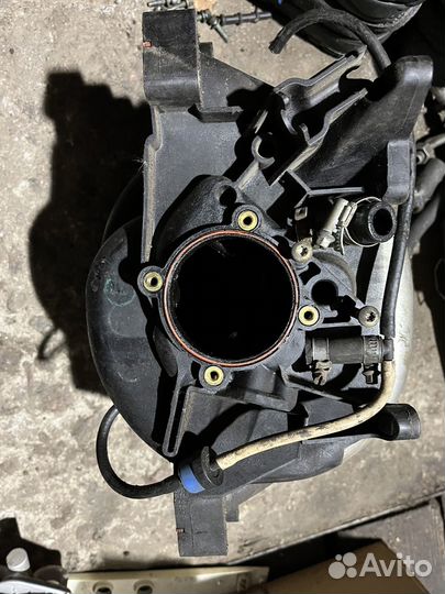 Впускной коллектор audi a6c5 2.4