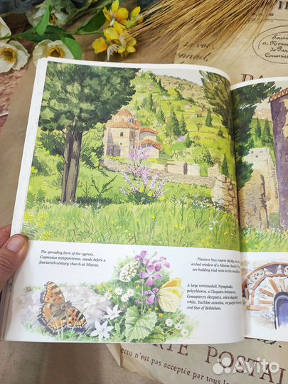 Книга про путешествие в Грецию с иллюстрациями