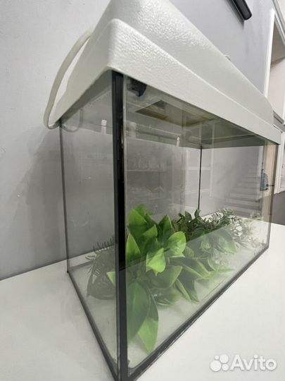 Аквариум для рыбок или черепах