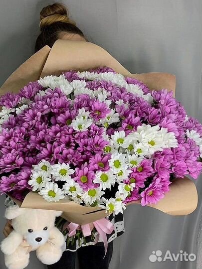 Букет из 41 белой и розовой хризантемы