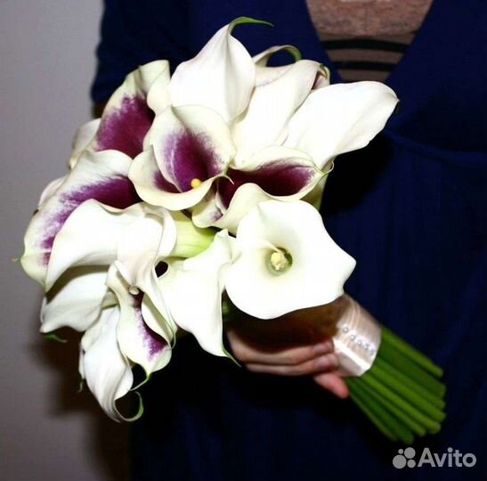 Букет невесты каллы