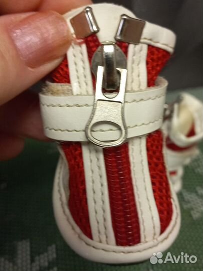 Ботинки для маленьких собак