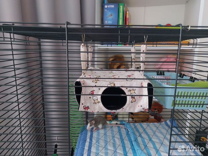 Домик, гамак, тоннель для крысы