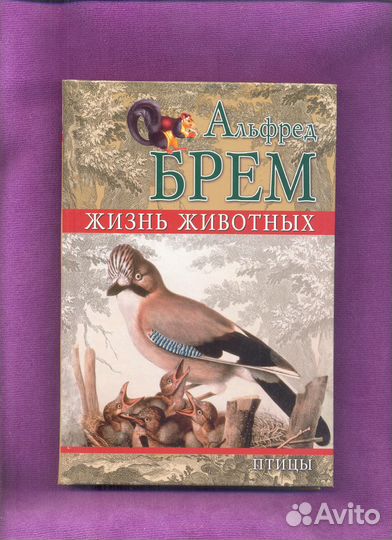 Альфред Брем Жизнь животных 2009 год