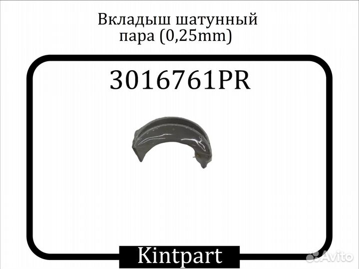 3016761 Вкладыш шатунный, шт. (0.25 mm) 171781