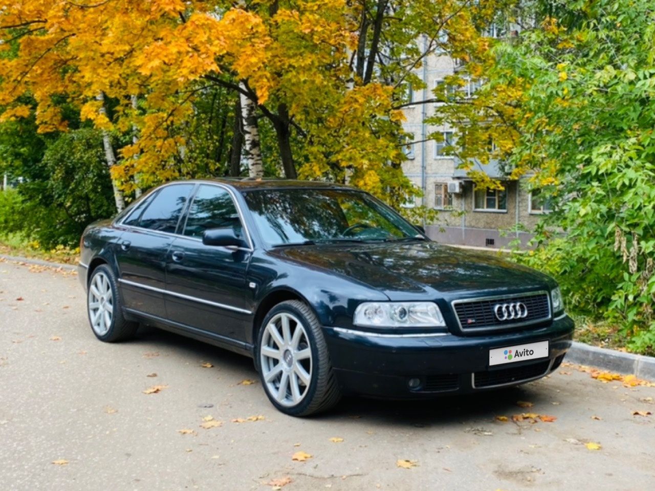 Audi S8: фото владельца