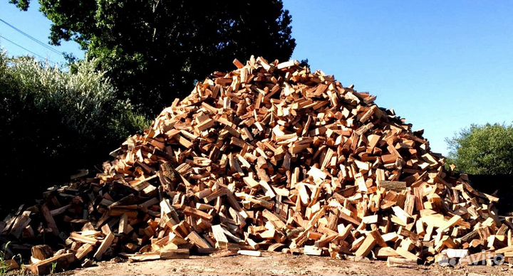 Дрова ольха осина