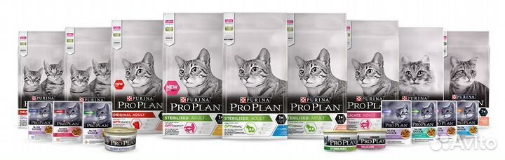 Корм Роял Канин, Про План, Карми, Хилс, Монж