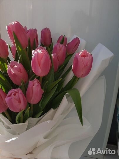 Тюльпаны букет