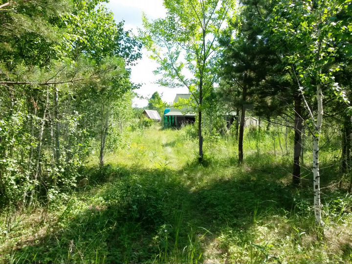 Участок 3,27 га (СНТ, ДНП)