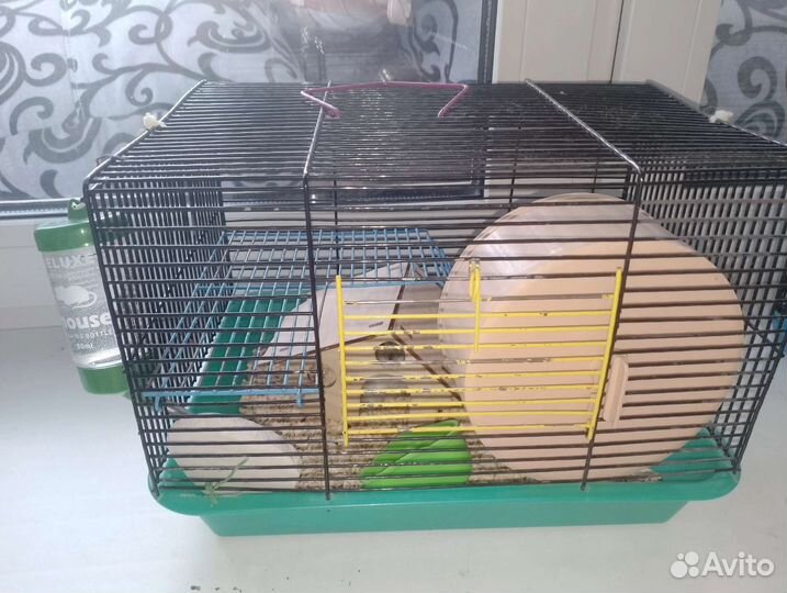 Отдам хомяка с клеткой