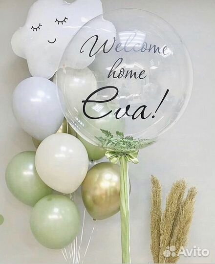 Воздушные шарыфотозонытомск