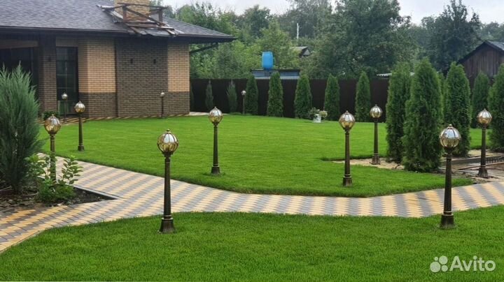 Красивый рулонный газон от профессионалов