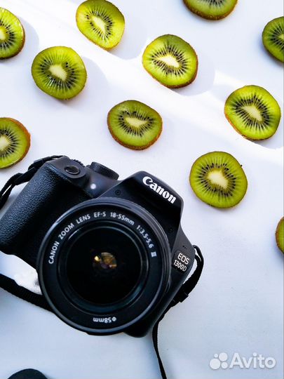 Фотограф
