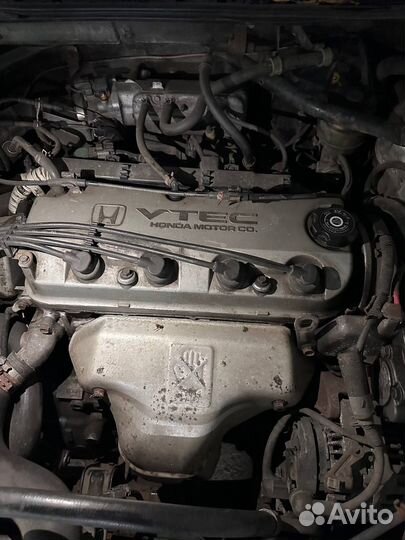 Honda Accord 2.3 МТ, 2001, 319 000 км