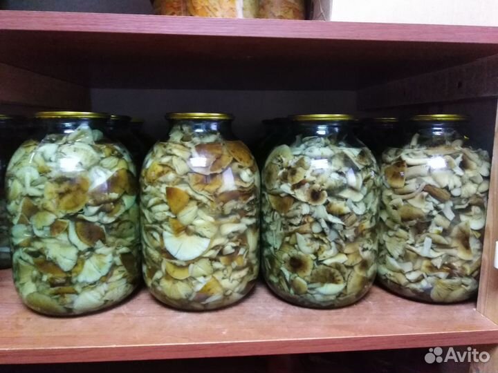 Грибы. Опята маринованые