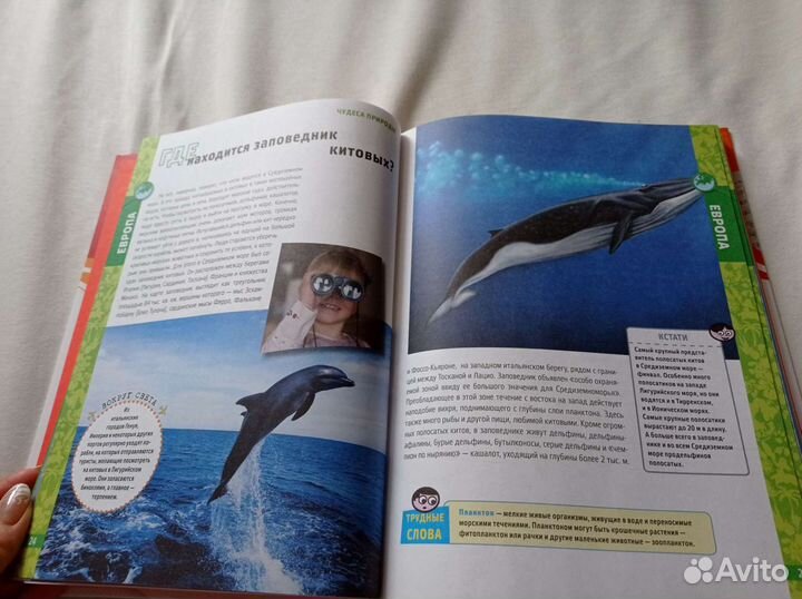 Энциклопедия для детей