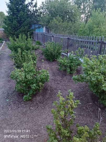 Дача 50 м² на участке 10 сот.