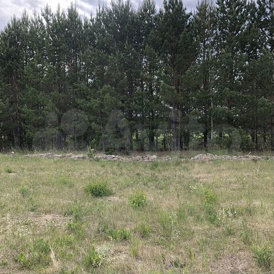 Участок 10 сот. (ИЖС)