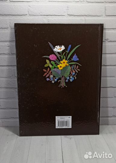 Е.Благинина Травушка-муравушка 2017