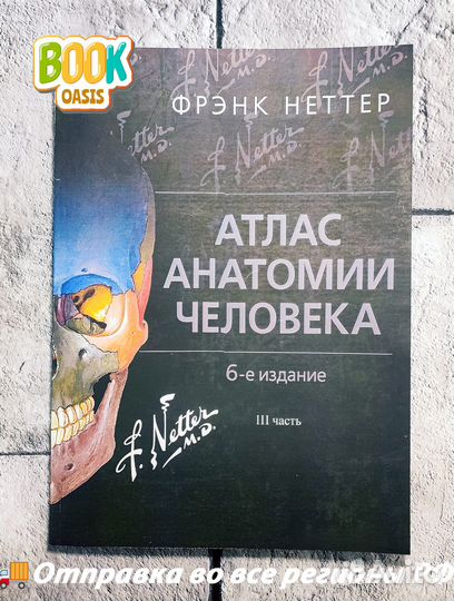 Атлас Анатомии Фрэнк Неттер 6-е издание 1,2,3 част
