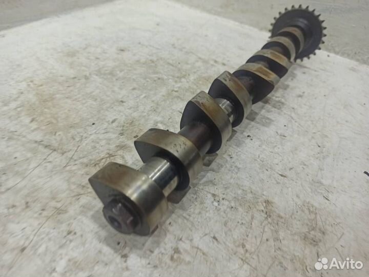 Распредвал впускной Ауди