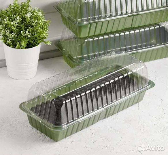 Мини-парник для рассады, горшок