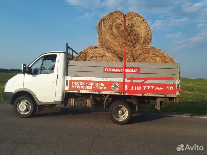 Грузоперевозки