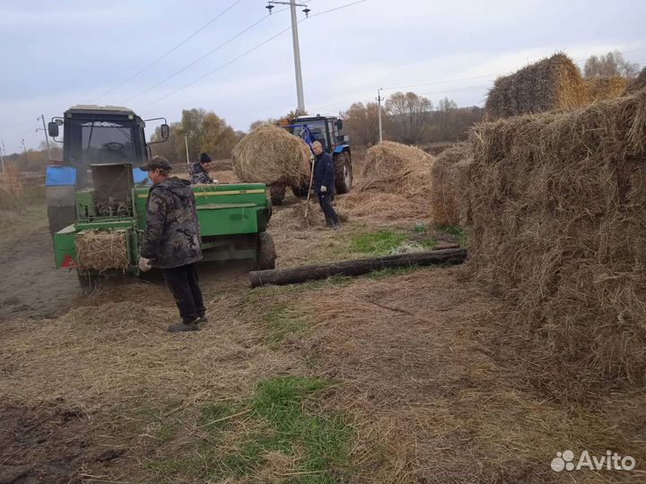 Сено солома в тюках