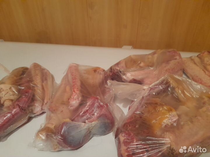 Мясо гуся, утки домашнее Халяль