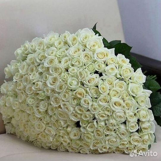 Высокие розы Гигантские розы Доставка цветов