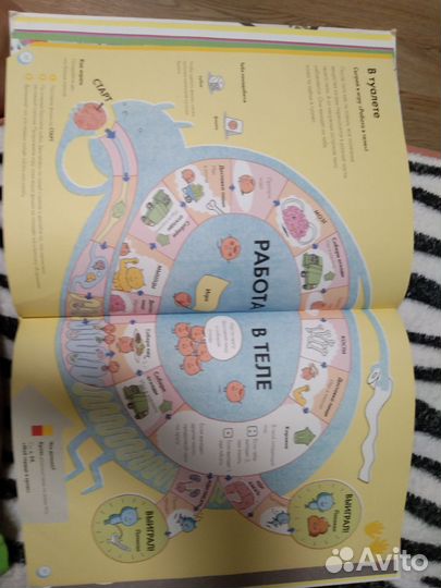 Анатомия для детей