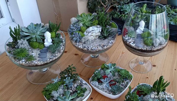 Флорариум 3 л