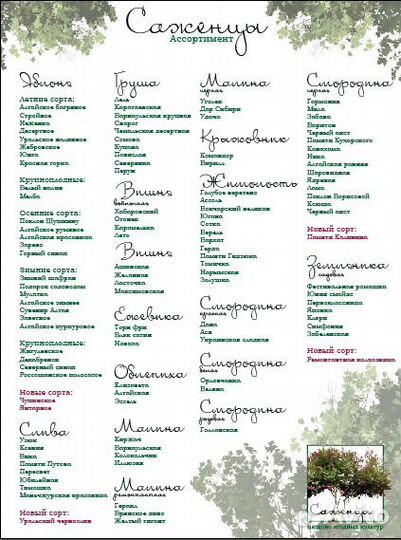 Саженцы плодово ягодных культур