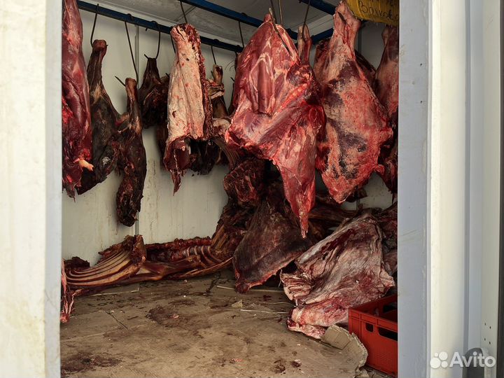 Мясо говядина для собак