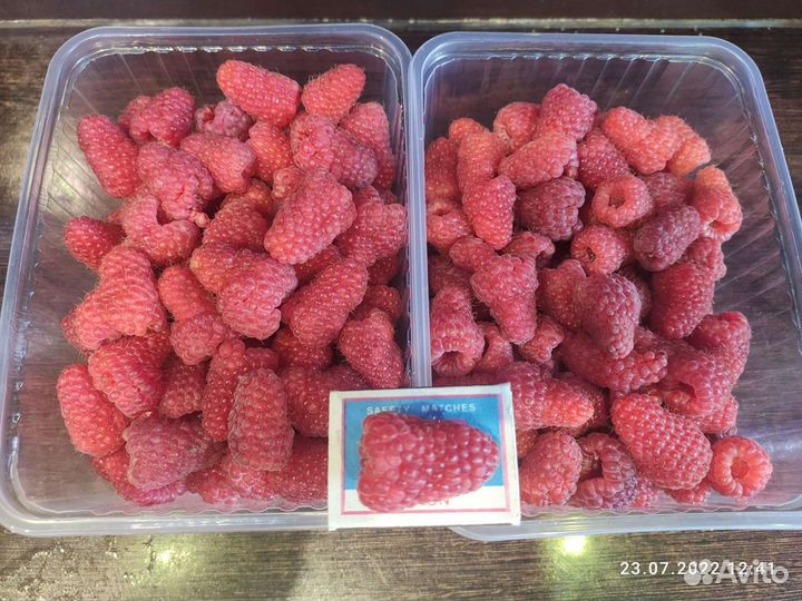 Малина домашняя