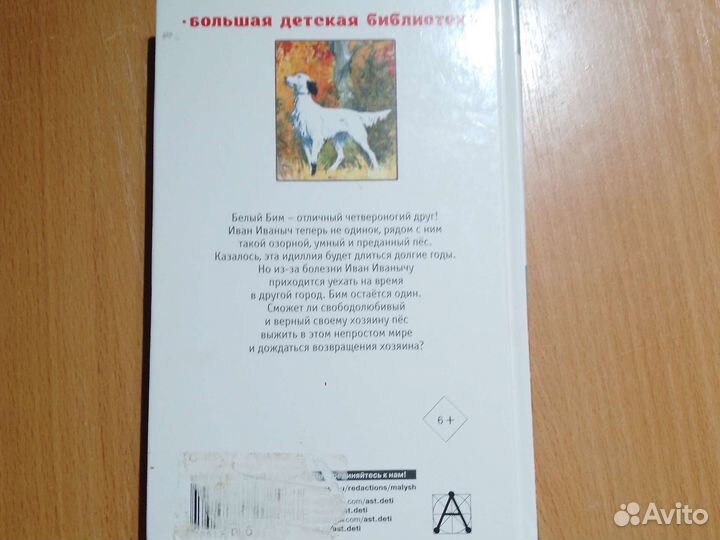 Книга белый дом чёрное ухо