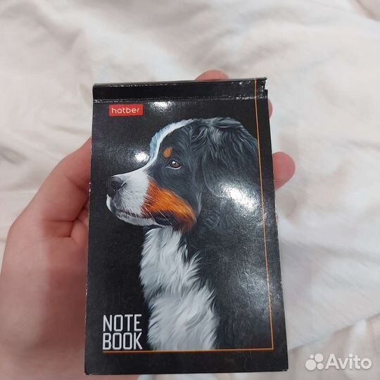 Планы по обществознанию егэ