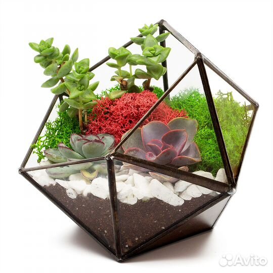 Предметная фотосъемка для каталога