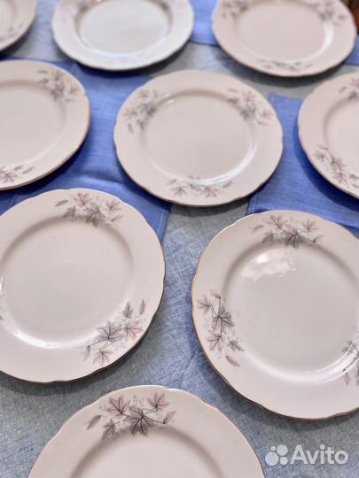 Набор тарелок (10 шт.)