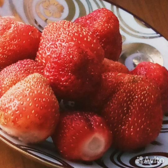 Саженцы виктории