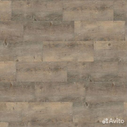 Wineo 600 Wood DLC00008 Toscany Pine Grey, 32 клас