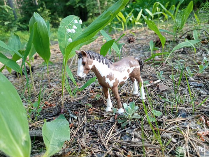 Лошади шляйх schleich