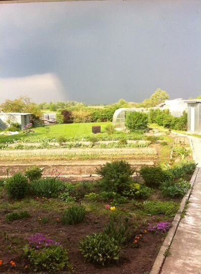 Дача 30 м² на участке 6 сот.