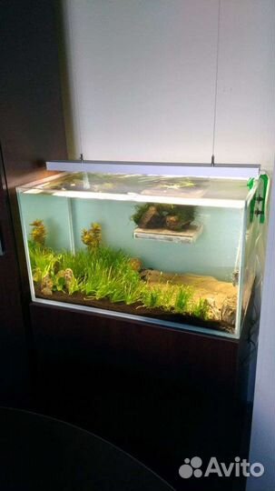 Установка и оформление,аквариумов и их систем