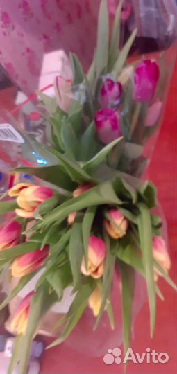 Продам два букета с живыми тюльпанами по 11 штук