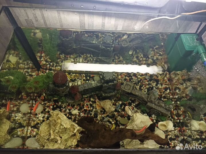 Аквариум на 50 литров