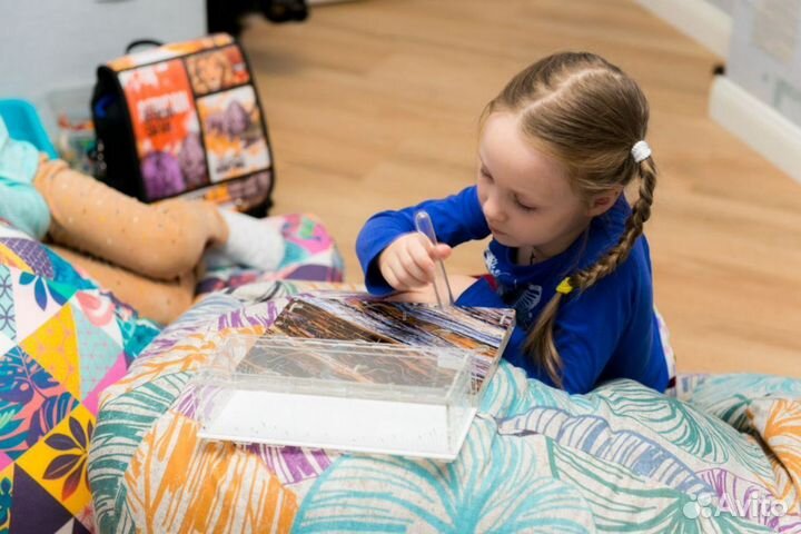 Муравьиная ферма